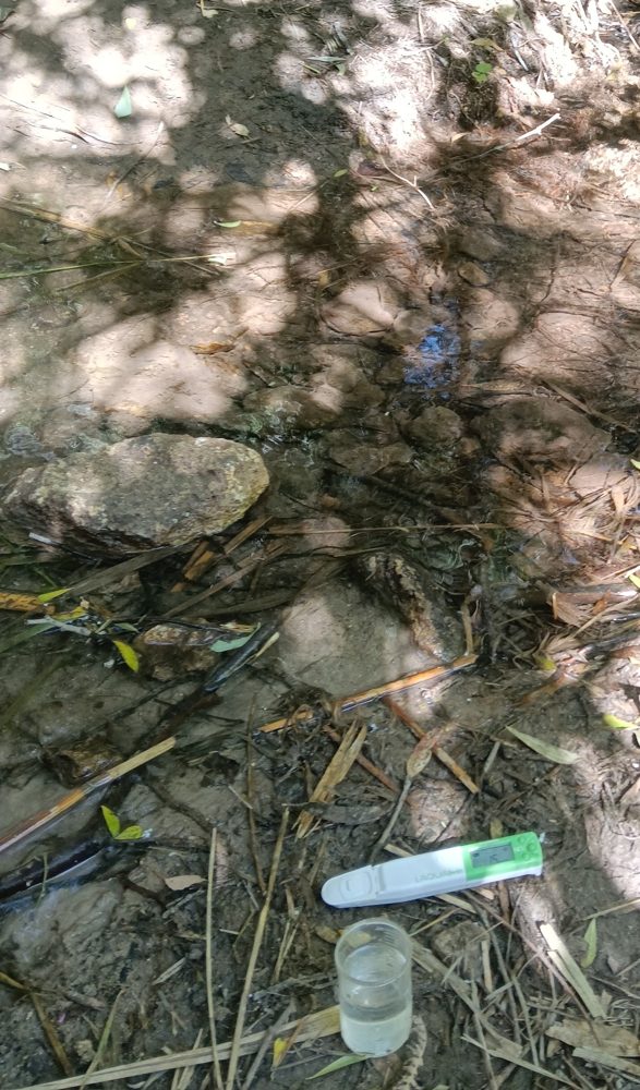 Medida de parámetros in situ en un arroyo