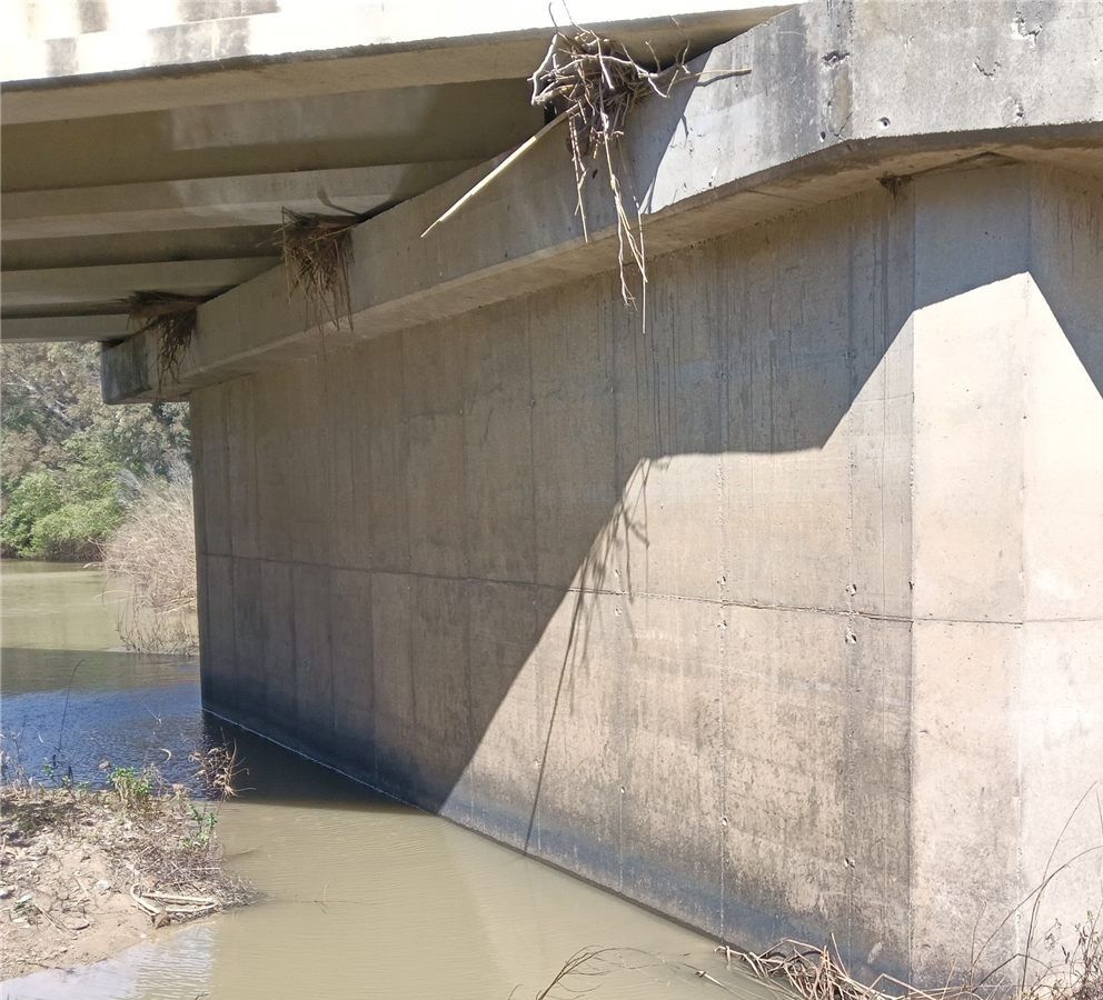 Pila de un puente sobre un cauce